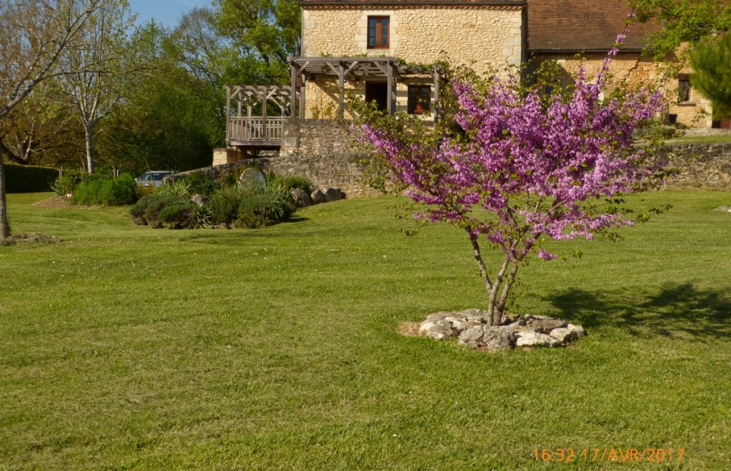 Maison mitoyenne à celle...