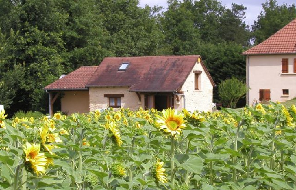 Maison traditionnelle à...